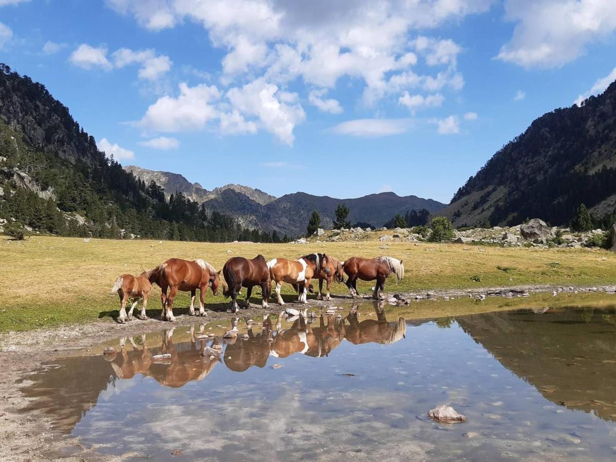Studio Proche Centre Pour 2/4 Personnes, Cuisine Equipee, Pres Thermes Et Telecabines - Fr-1-234-281 Cauterets Zewnętrze zdjęcie